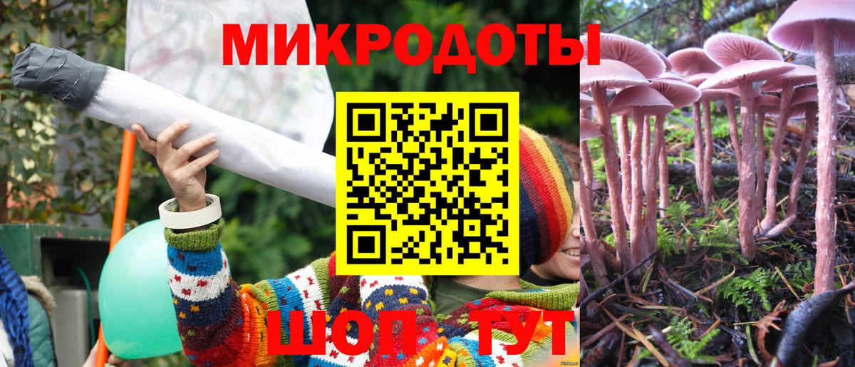 Котельники  Галлюциногенные грибы Psilocybe  Псилоцибиновые грибы мухоморы  Вход с VPN 