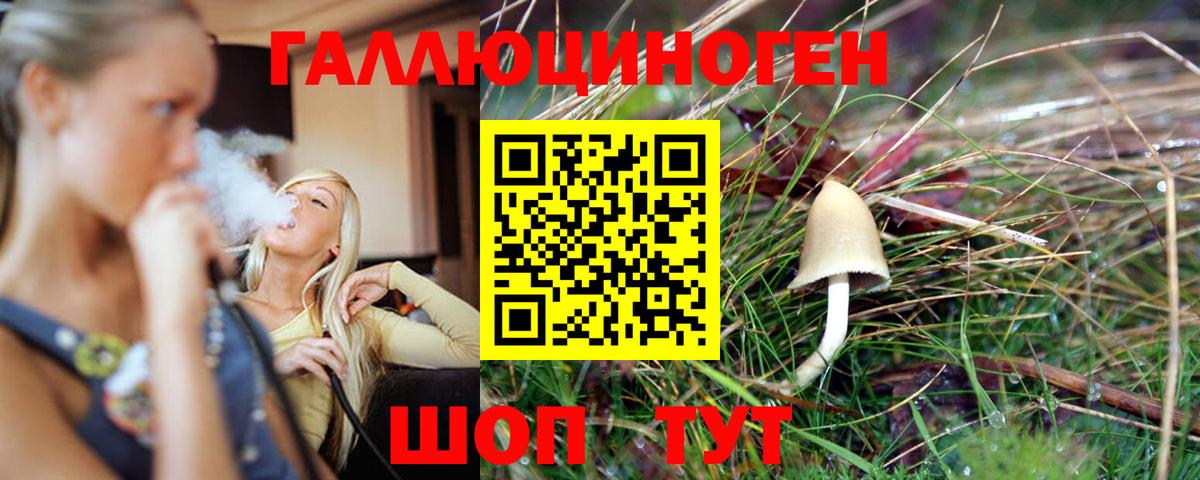 Псилоцибиновые грибы MAGIC MUSHROOMS Котельники